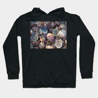 Dried Seed Pods Hoodie